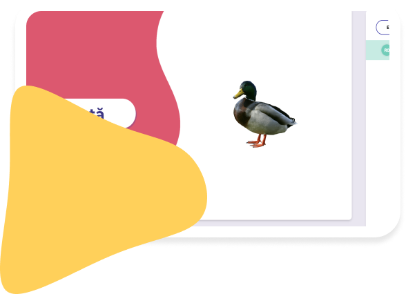F.A.Q.